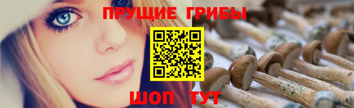 Псилоцибиновые грибы MAGIC MUSHROOMS Богородицк