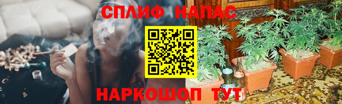 Богородицк  Бошки марихуана MAZAR  Шишки марихуана семена  Бошки Шишки Ganja  Вход с VPN 